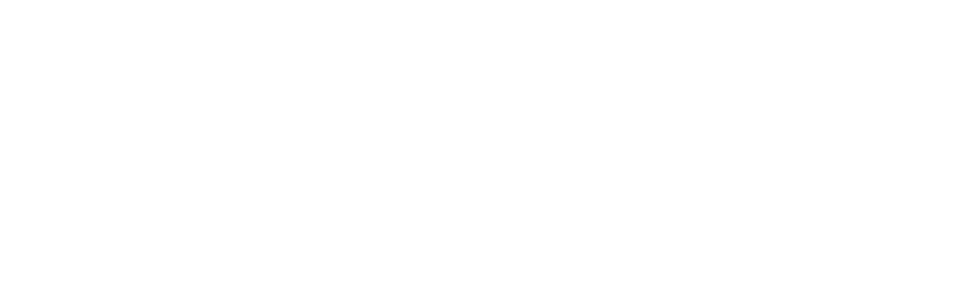 Atelier Payenne Fleurs Eternelles Dax Vector Stroke 1