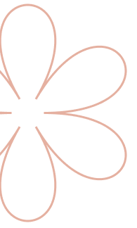 Atelier Payenne Fleurs Eternelles Dax Fleur Background